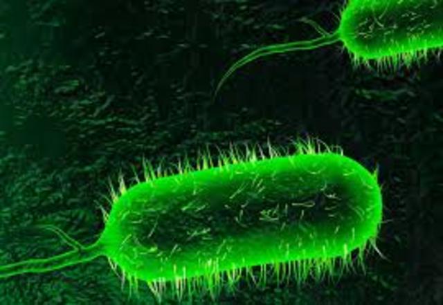 Isolation of Microorganisms