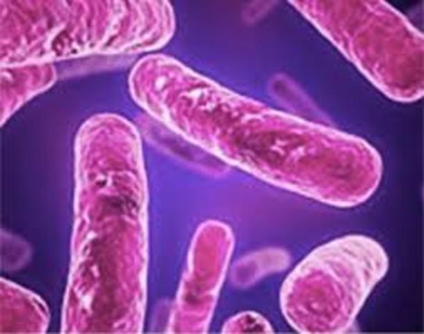 Isolation of  Microorganisms