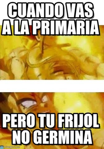 comenze a estudiar la primaria