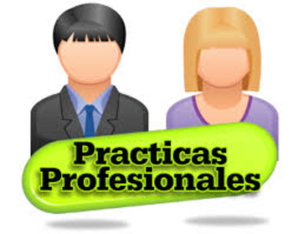 Hacer prácticas profesionales