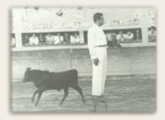 Founded and chairs the companies Promotora del Hogar, SA dedicated to sell homes, and GM Maquinaria, in the turn of purchase, sale and rental of construction equipment.