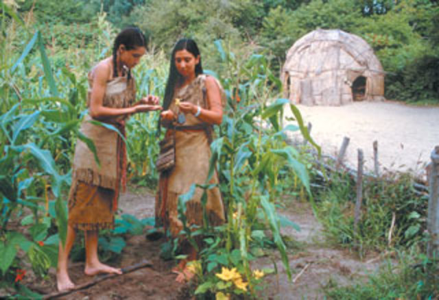 Wampanoag Indians