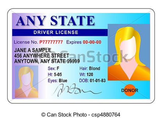 Driver Licence