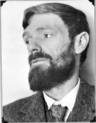 D H Lawrence