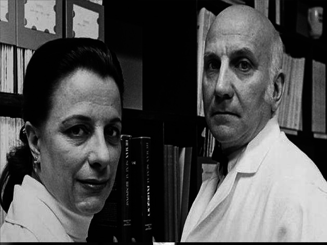 Masters y Johnson 1966