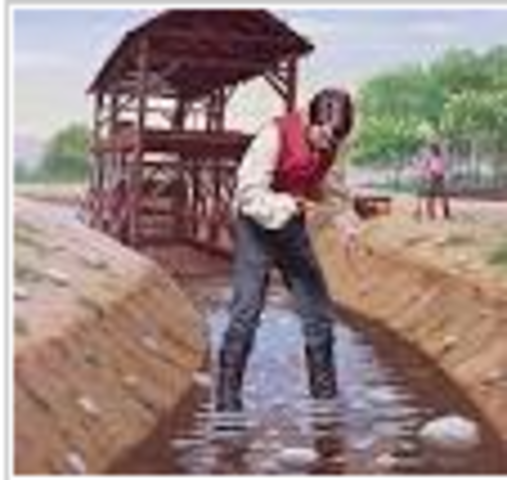 Gold Discovered at Sutter's Mill