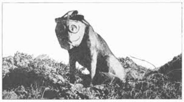 Australian Naval and Military Expeditionary Forces capture German New Guinea