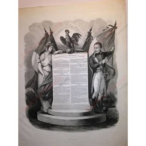 CONSTITUCION MODERADA