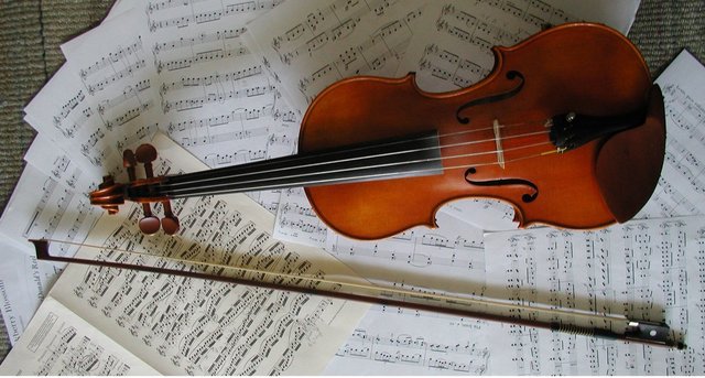 Violin