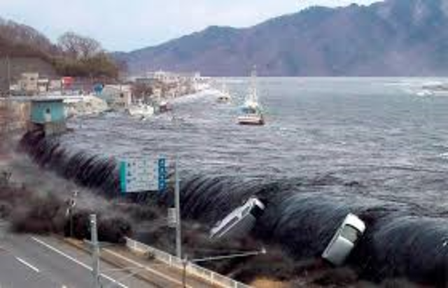 Tohoku Earthquake