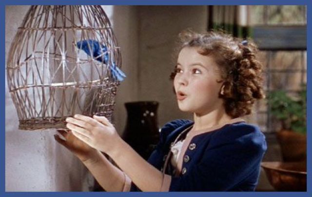 "The Blue Bird" film