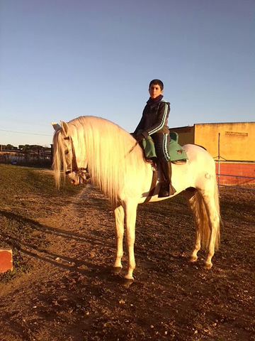 Compra de mi caballo actual