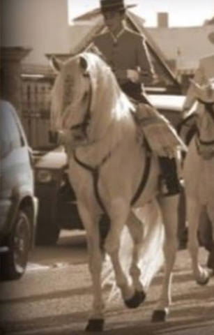 Mi Primera Romería con mi caballo actual