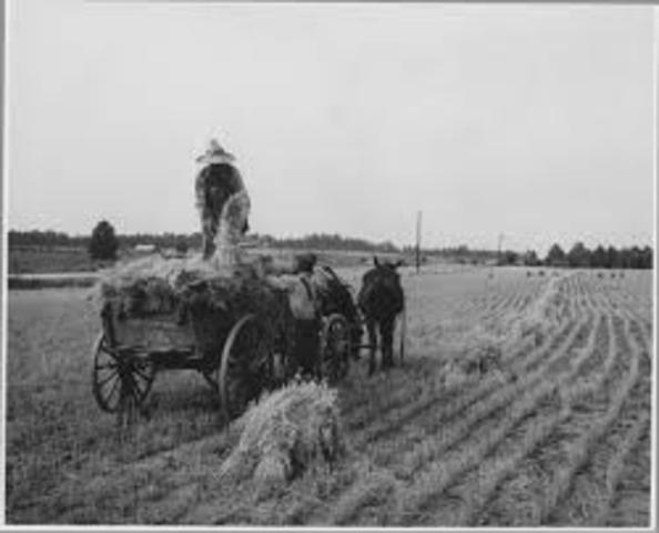 The Federal Farm Loan Act