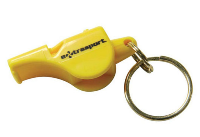 1878: In Anglia arbitrul pentru prima data utilizeaza fluierul (pana la aceasta arbitrii strigau).