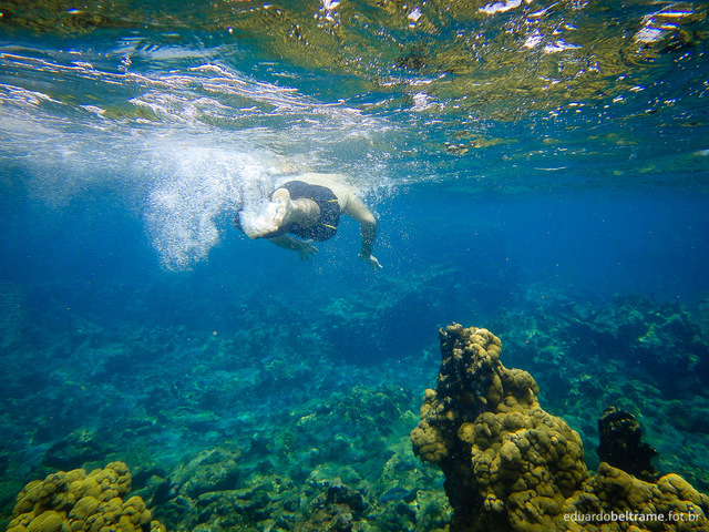 Creación de zonas de turismo sustentable en el Caribe