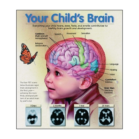 Early Years - Brain Growth - Physical