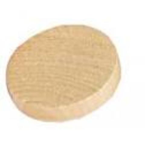 First Hockey Public Exhibition