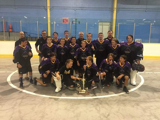 Professional box lacrosse is revived