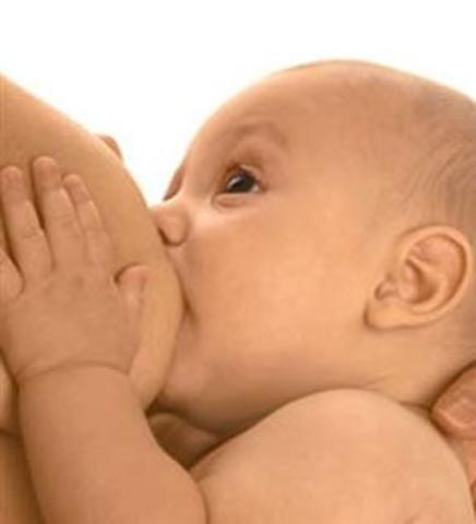 Alimentación de los 0 a 6 meses de vida