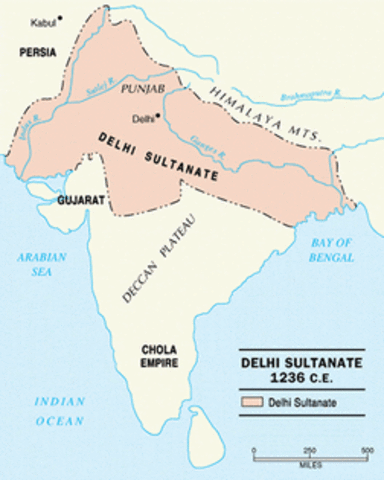 Delhi Sultanate established in India 1206 C.E
