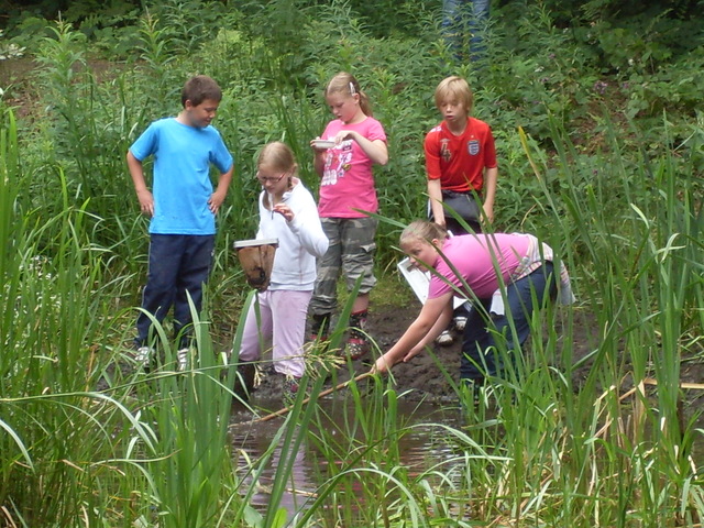 Y5 Brereton Heath visit