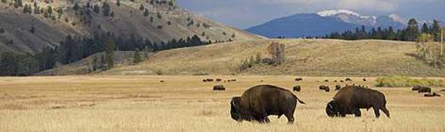 Corps enter the Great Plains