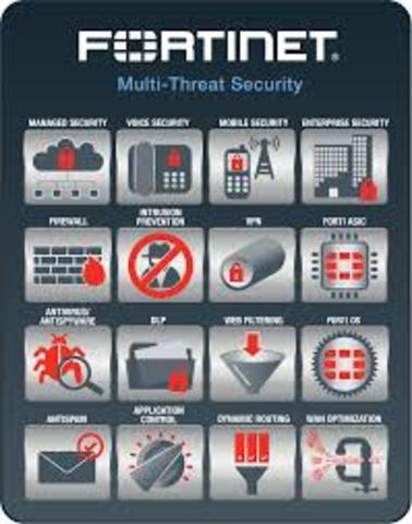 Nacimiento Fortinet con las paginas web