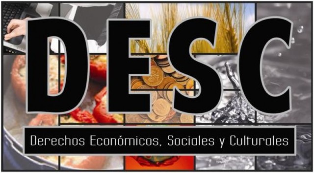 DECLARACION DE LOS DERECHOS ECONOMICOS, SOCIALES Y CULTURALES