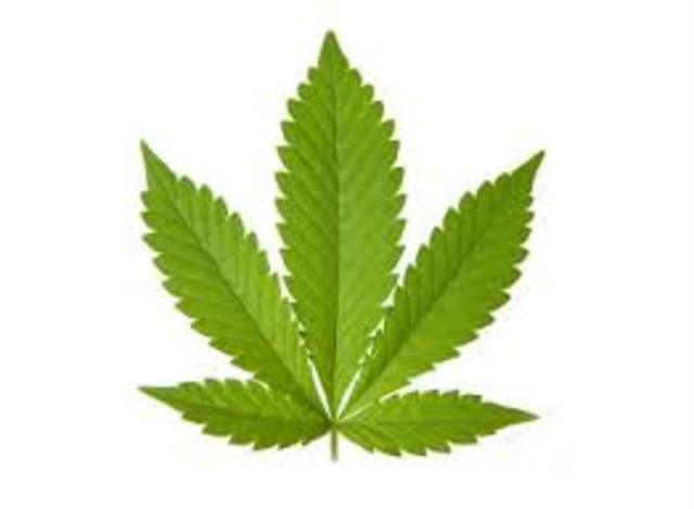 Marijana use in Brazil
