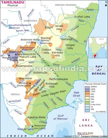 Arabs Move to Southern Coast of India