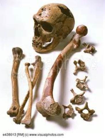 Neanderthals in central Asia