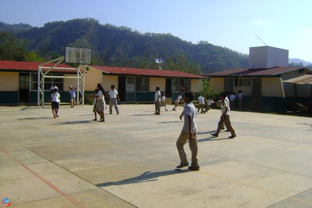 Primaria