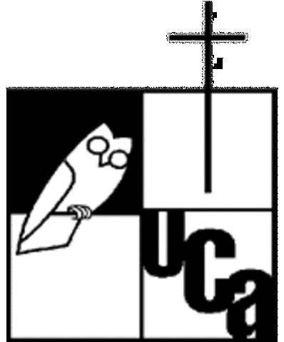 I started the university