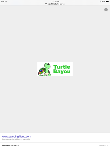 Turtle bayou resolution