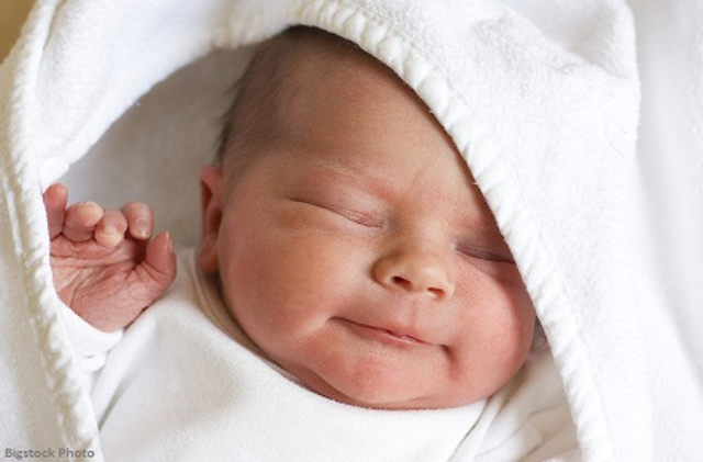 The Day I Was Put Into The World