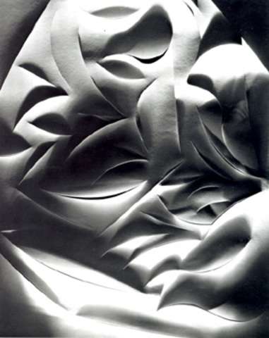 Francis Joseph Bruguiere: Cut Paper, 1928---the greatest abstraction is the greatest realism