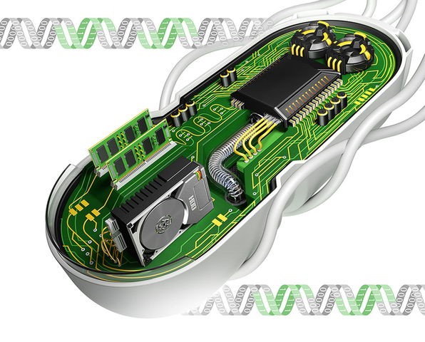 Biological Transistors