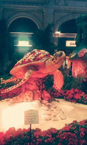 Traveled To Las Vegas