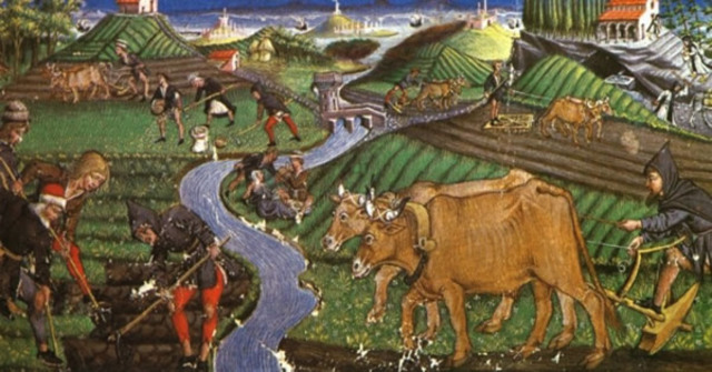 Innovazioni dell'agricoltura