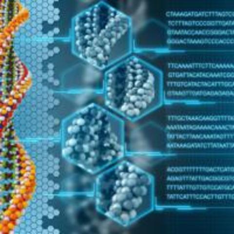 PRUEBAS DE ADN Y MAPEO