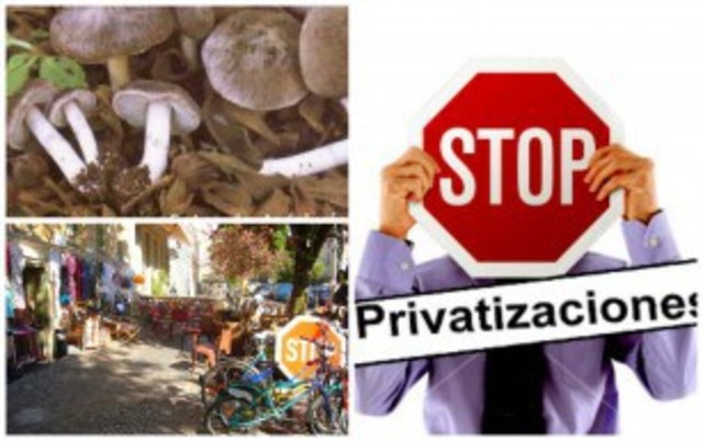 Privatizaciones