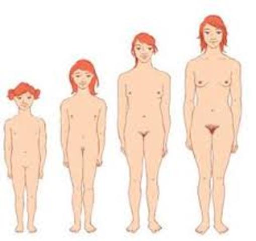 Desarrollo de la mujer 8 años