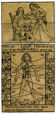 Llegan las enfermedades