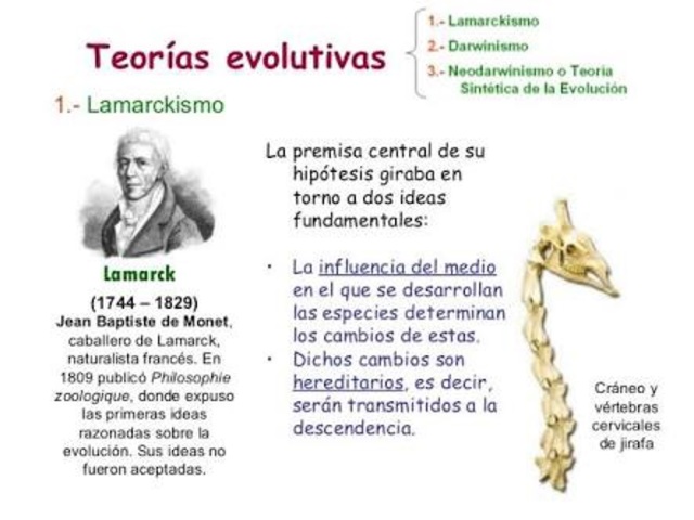 Lamarck 1809