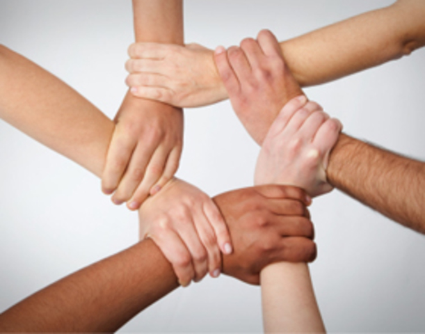 Sessió Institucional