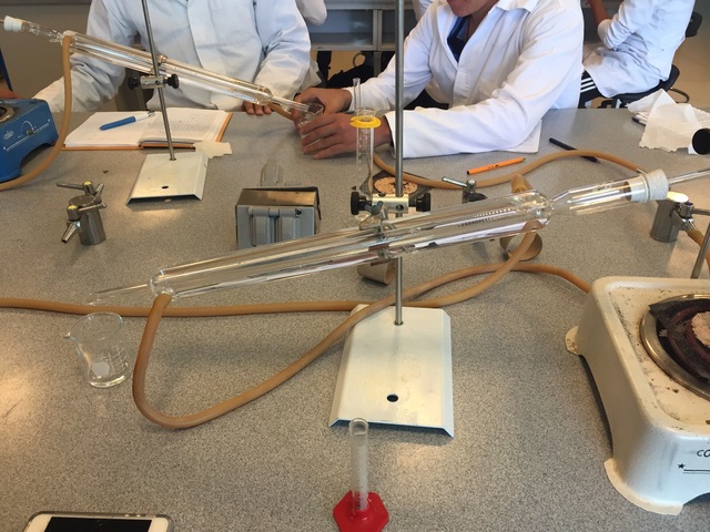 Inicio de estudios univesitarios