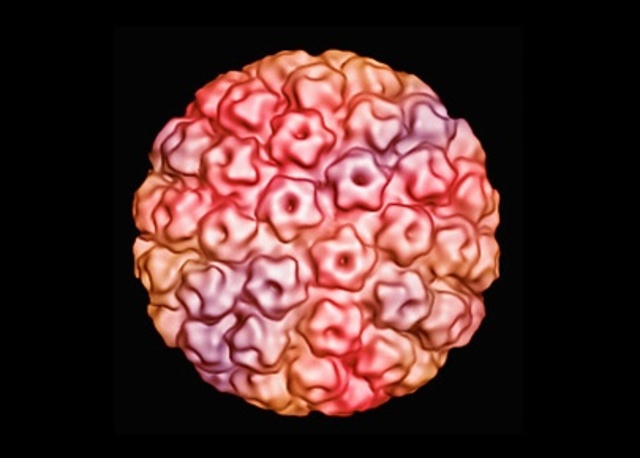 First dfiscovery of cervical cancer.