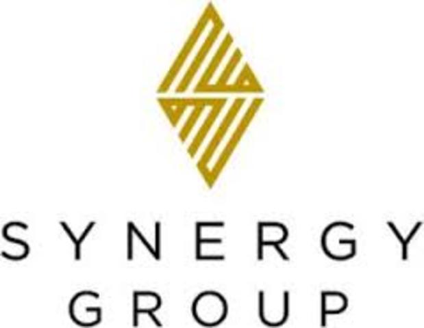 Elaboracion de Synergy Group