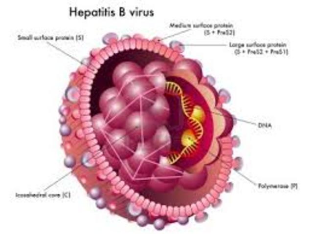First time blood was tested for Hepatits B